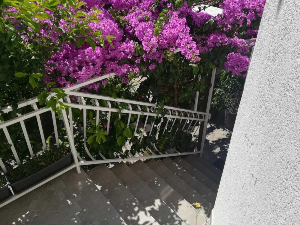 Dalmati House Hotel Brodarica  Luaran gambar