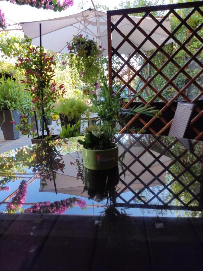 Dalmati House Hotel Brodarica  Luaran gambar