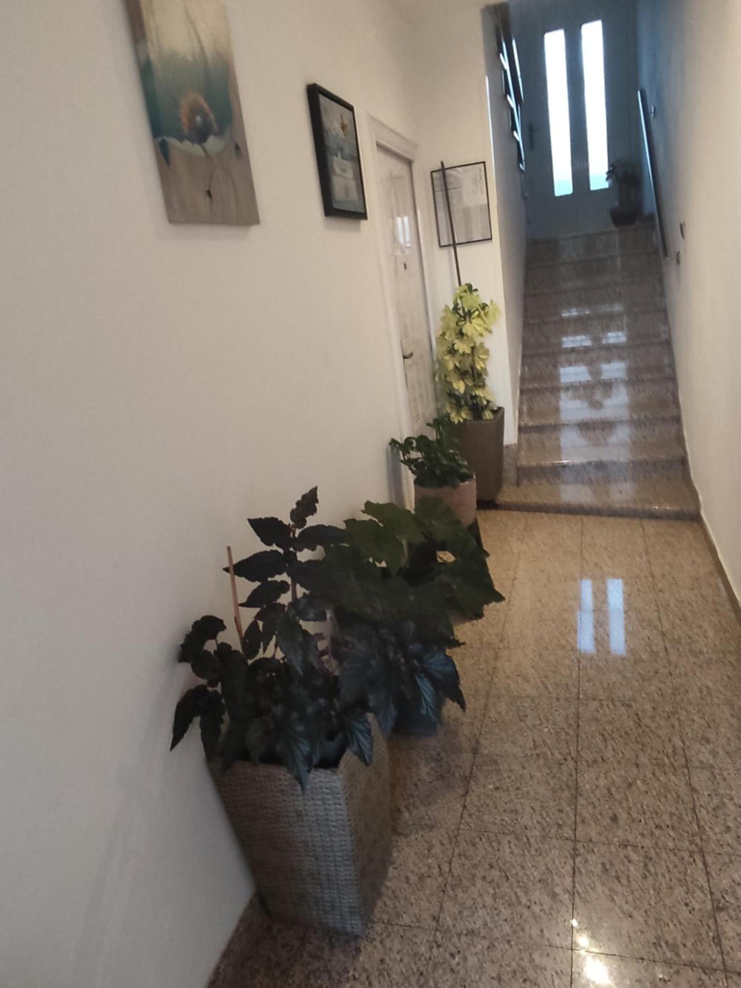 Dalmati House Hotel Brodarica  Luaran gambar