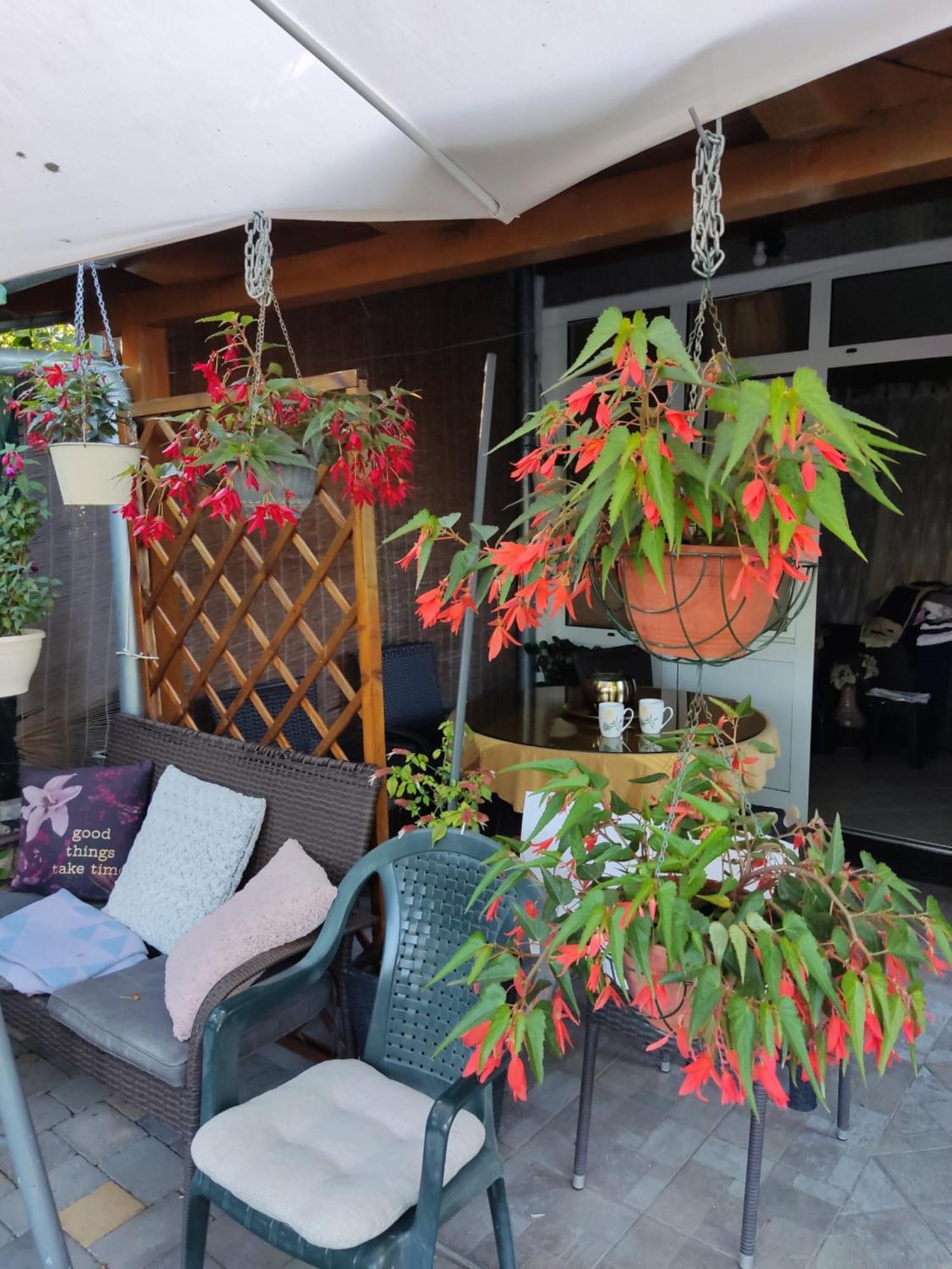 Dalmati House Hotel Brodarica  Luaran gambar
